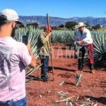 Tour Tequila