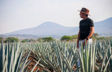 Tour Tequila Tempranito