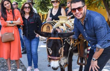 Tour Tequila Herradura desde Guadalajara