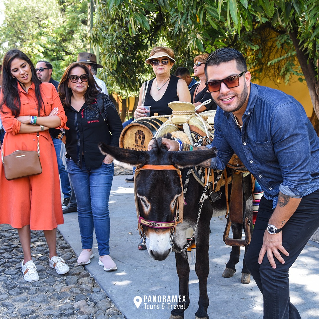 Tour Tequila Herradura desde Guadalajara