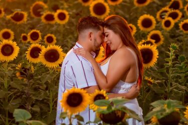 Tour al Campo de Girasoles desde Guadalajara