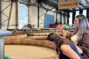 Tequila Jalisco Experience Curated Guadalajara Jalisco