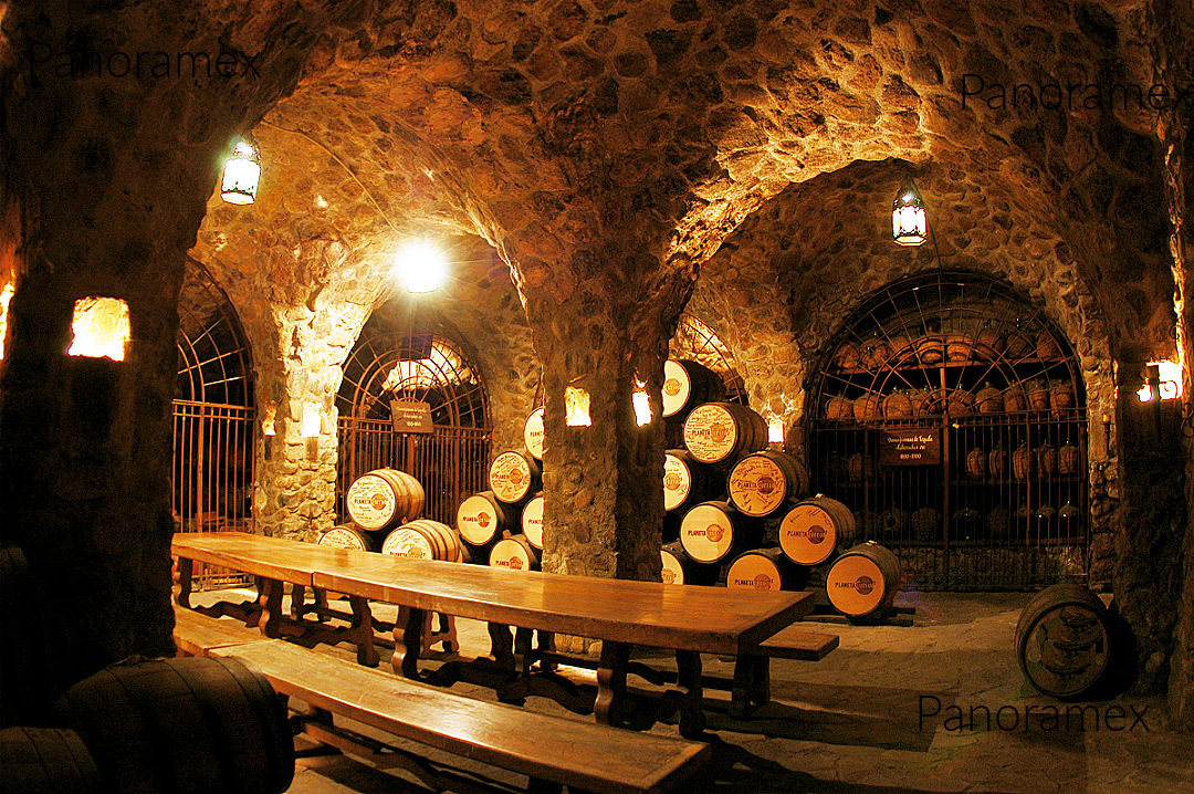 Experiencia Curada en Tequila Jalisco México