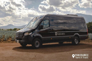 Tequila Experiencia Curada