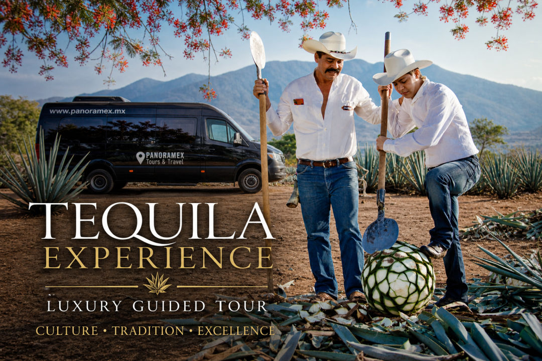 Tequila Experience para bodas en Guadalajara Jalisco